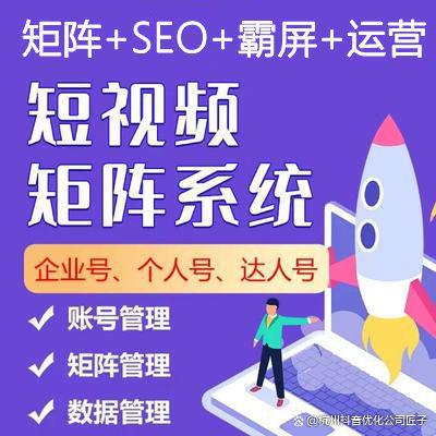 上海抖音SEO优化公司 排名前十公司实力对开云 开云体育APP比(图2)