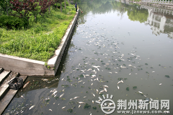 开云体育 Kaiyun.com 官网入口世界银行专家组来荆考察 古城保护涉及五大工程(图4)