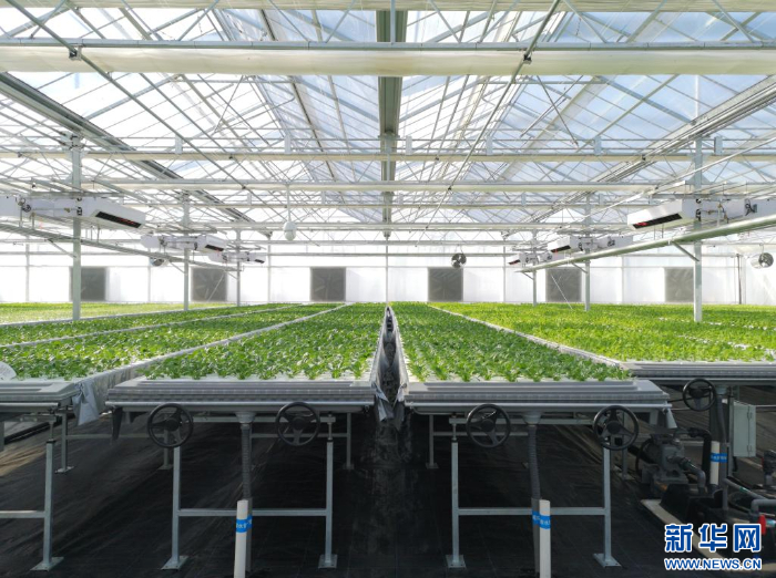 Kaiyun 开云新华网辽宁频道(图2)