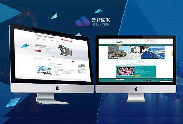 开云体育 Kaiyun.com 官网入口论述：企业为何偏向定制型网站开发？-云智海联(图2)