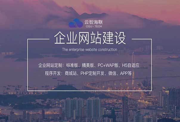 开云体育 Kaiyun.com 官网入口论述：企业为何偏向定制型网站开发？-云智海联(图1)