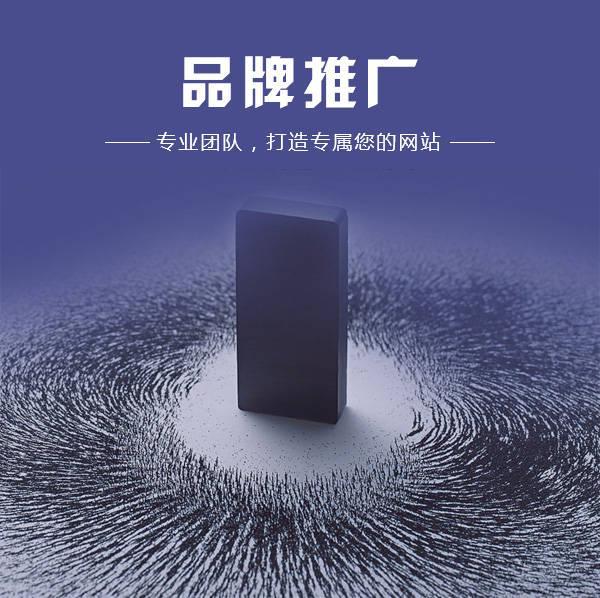 开云体育 开云官网2023品牌网络推广的9种方法(图2)