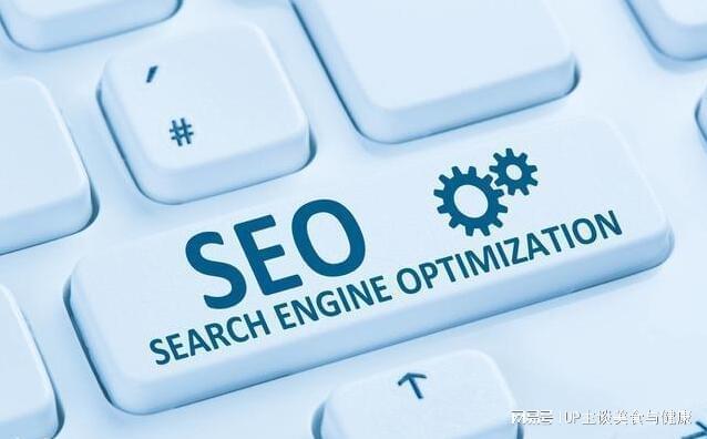 seo网站排名优化公司哪家Kaiyun 开云体育好(图1)