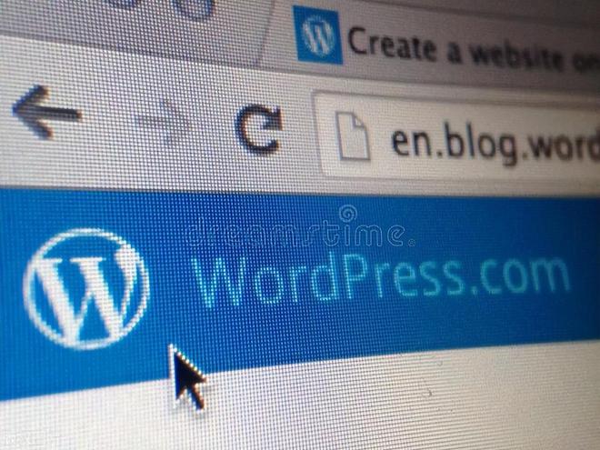 新手小白Kaiyun 开云体育如何免费搭建网站？(图1)