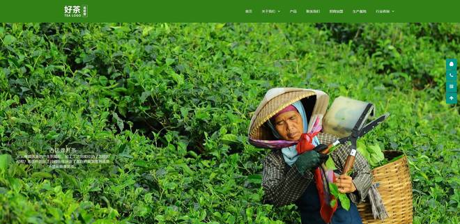 用这16个响应式网站主题模板制作企业网站立马提升公司形象开云体育 开云官网(图3)