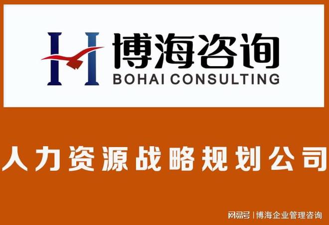 辽宁人力资源咨询公司有哪些开云体育 Kaiyun.com 官网入口(图2)